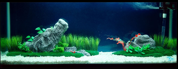 水族箱造景石英砂規(guī)格選擇指南