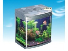 貴陽(yáng)魚缸批發(fā)一站式解決方案 打造專業(yè)水族生態(tài)